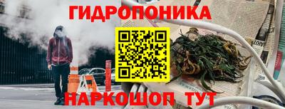 соль ск Гусев