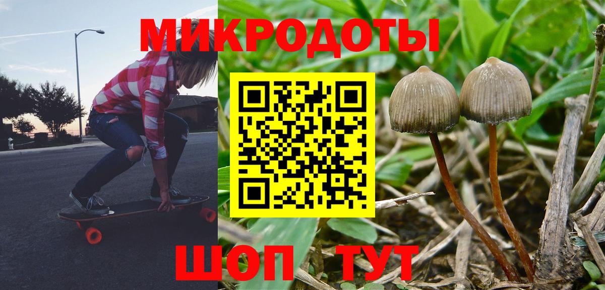 Галлюциногенные грибы Cubensis  Псилоцибиновые грибы Psilocybine cubensis  Вход с VPN  Моздок 